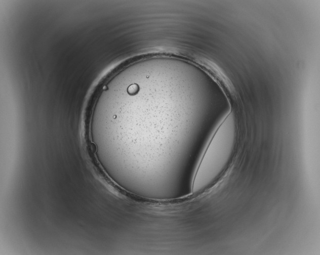 X0000115670780200911191024