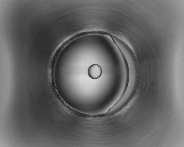 X0000115670781200911191024