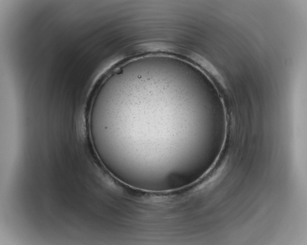 X0000115670782200911191024