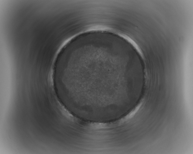 X0000115670783200911191024
