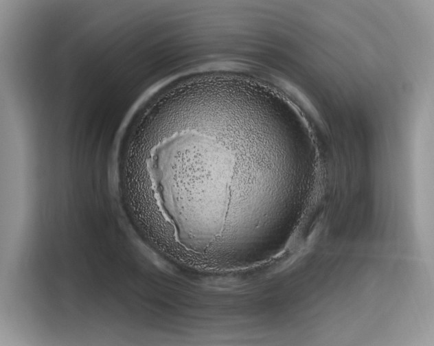 X0000115670784200911191024