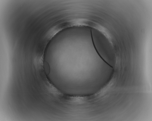 X0000115670785200911191024