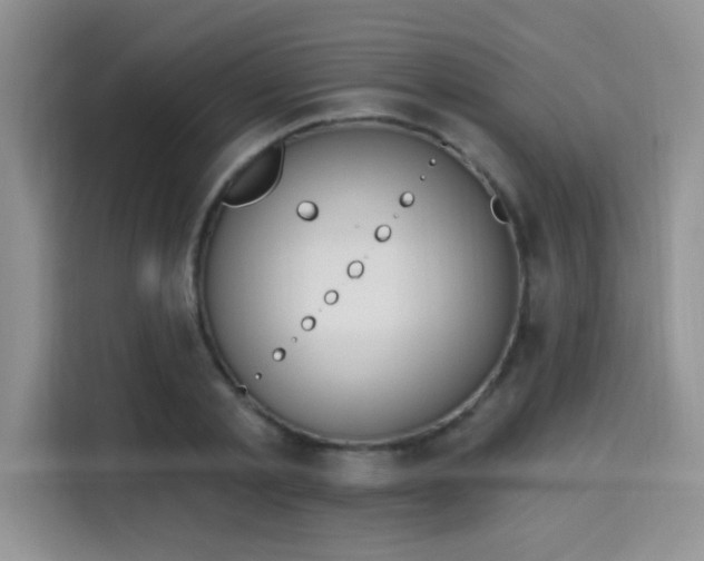 X0000115670789200911191024