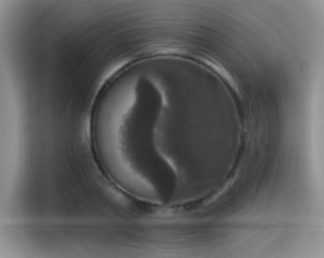 X0000115670790200911191024