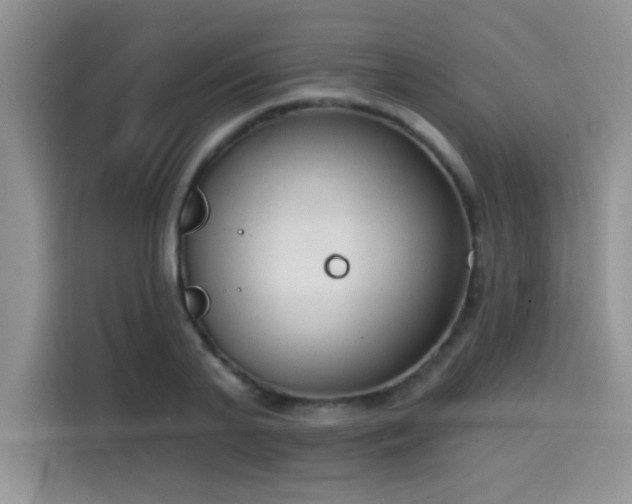 X0000115670791200911191024