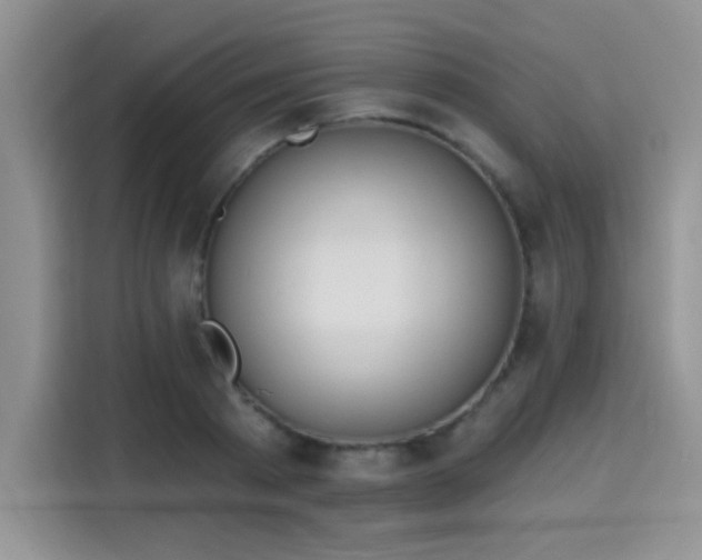 X0000115670793200911191024
