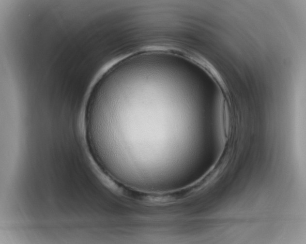 X0000115670795200911191024