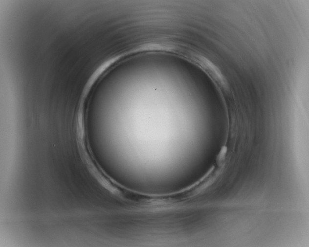 X0000115670796200911191024