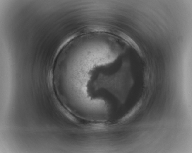 X0000115670798200911191024