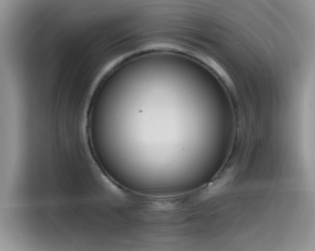 X0000115670799200911191024