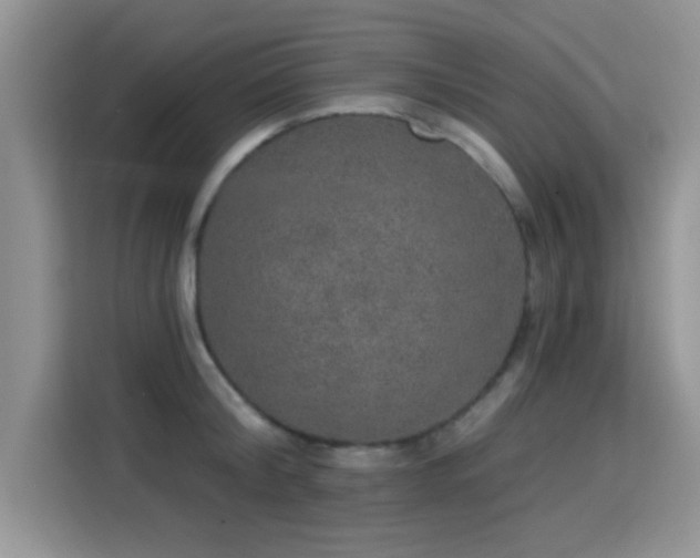 X0000115670804200911191024
