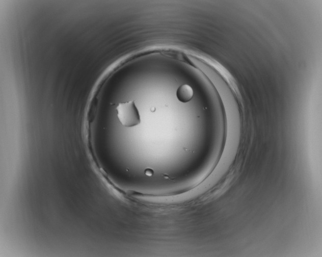 X0000115670807200911191024