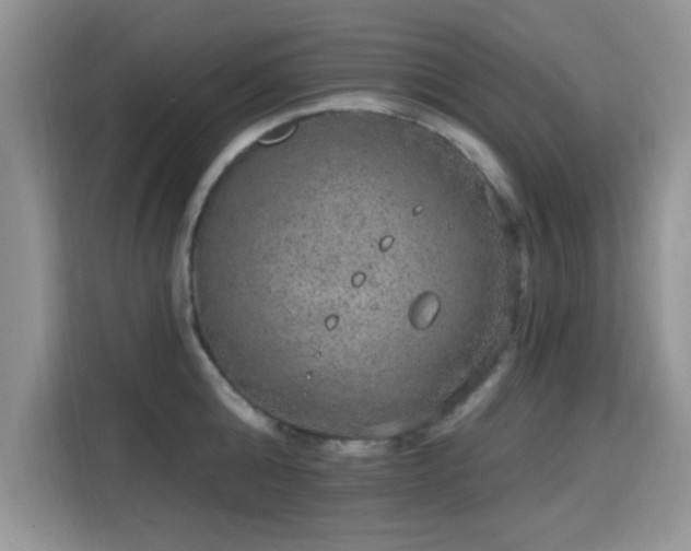 X0000115670808200911191024