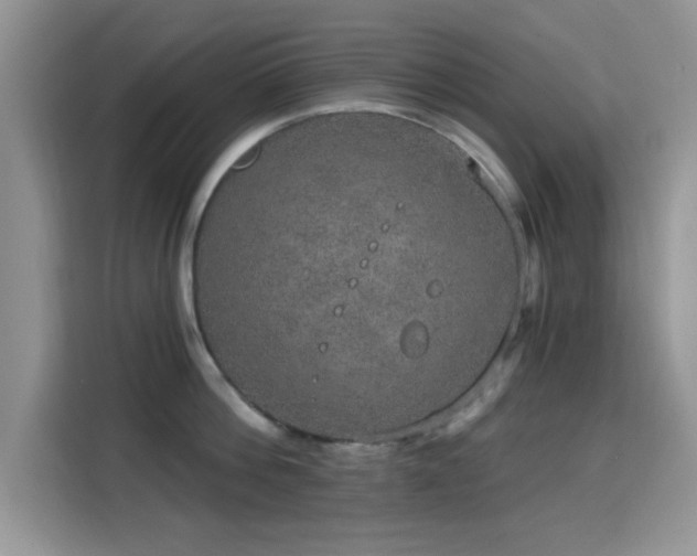 X0000115670812200911191024
