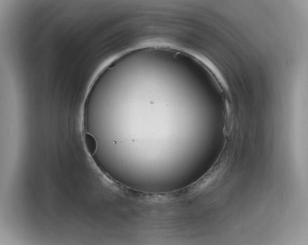 X0000115670815200911191024