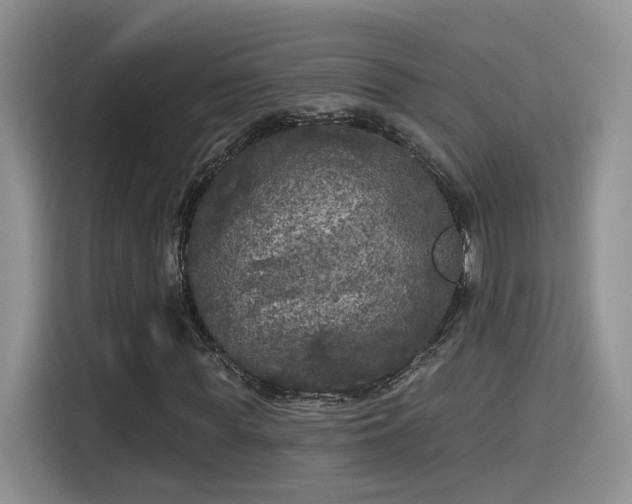 X0000115670819200911191023