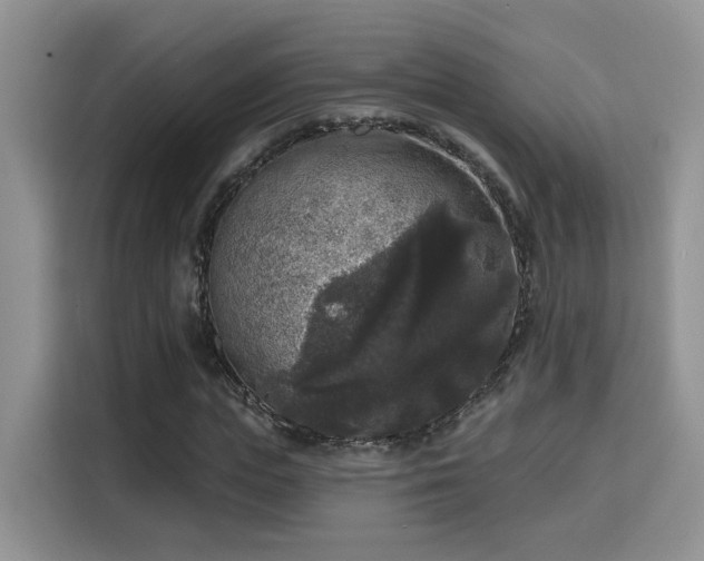 X0000115670823200911191023