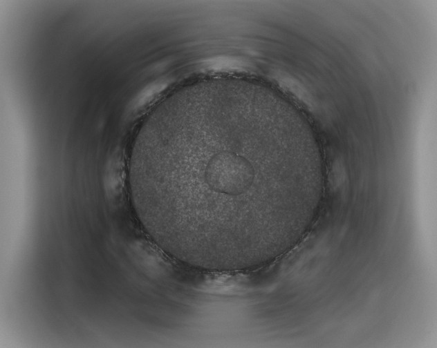 X0000115670824200911191023