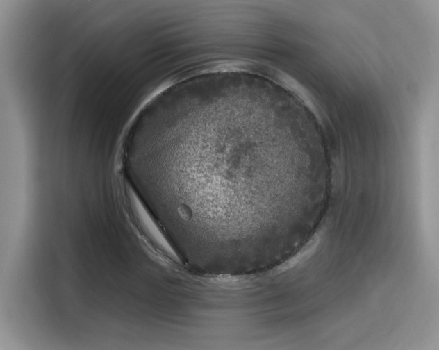 X0000115670827200911191023