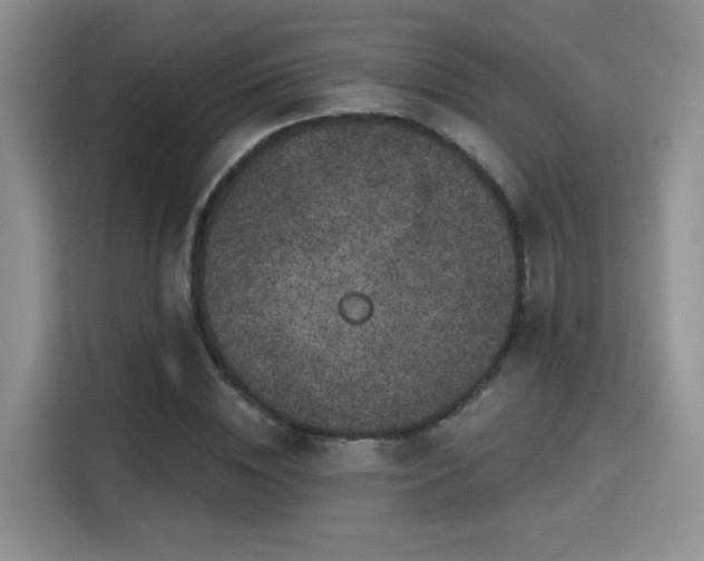 X0000115670828200911191024
