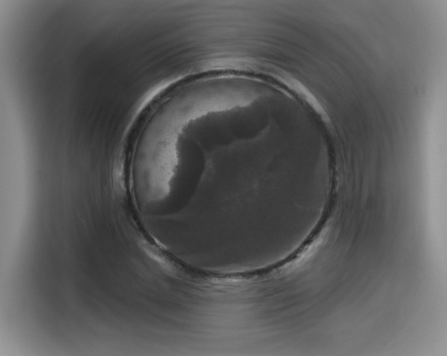 X0000115670830200911191024