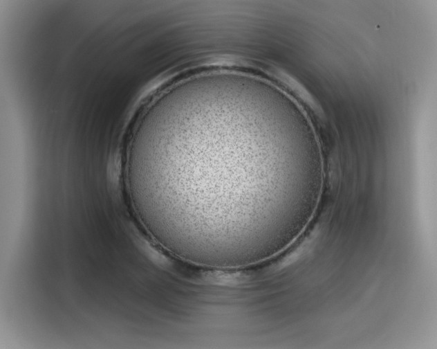 X0000115670831200911191024