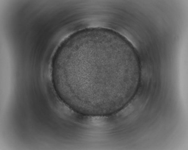 X0000115670832200911191024