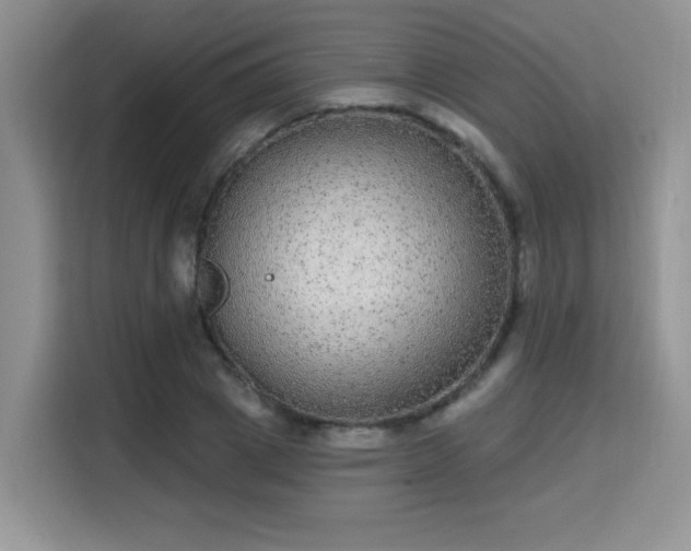 X0000115670833200911191024