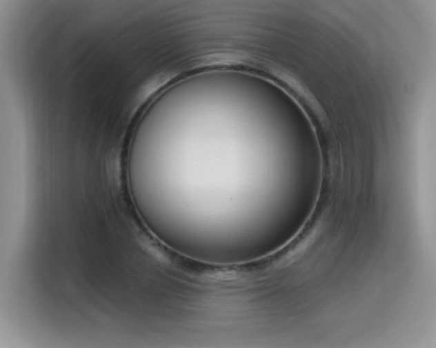 X0000115670834200911191024