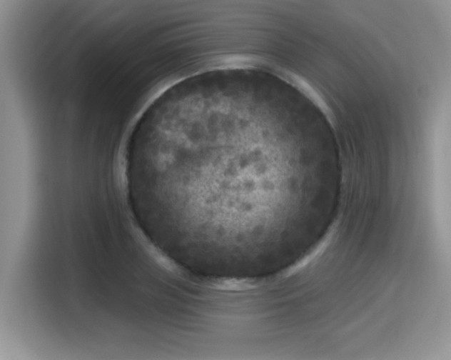 X0000115670835200911191024