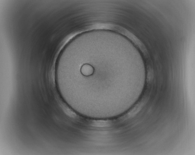 X0000115670836200911191024