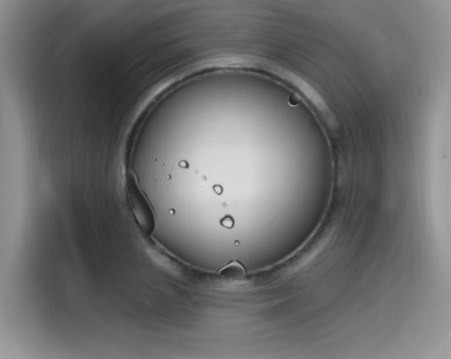 X0000115670837200911191024