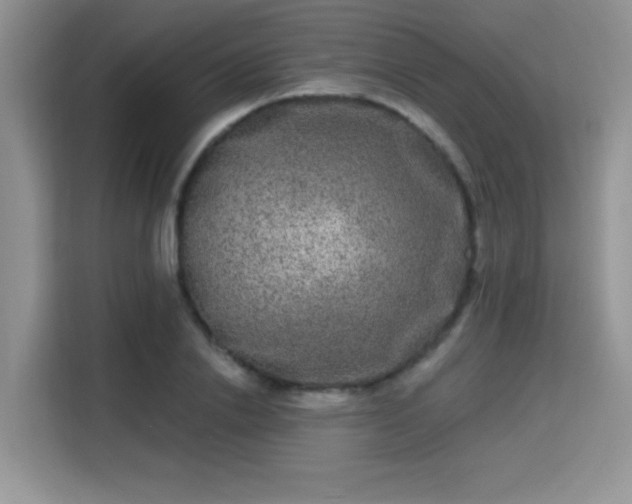 X0000115670838200911191024