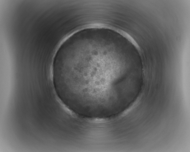 X0000115670839200911191024