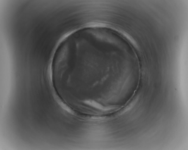 X0000115670840200911191024