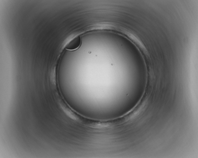 X0000115670842200911191024