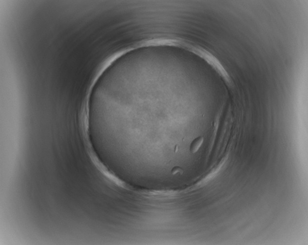 X0000115670844200911191024