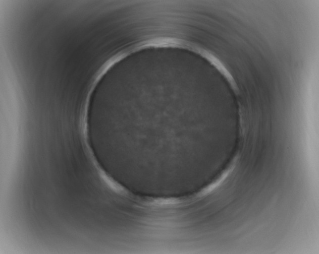 X0000115670845200911191024