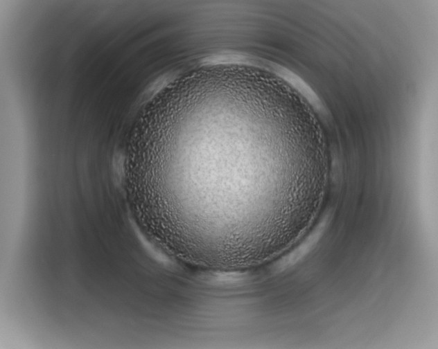 X0000115670849200911191024