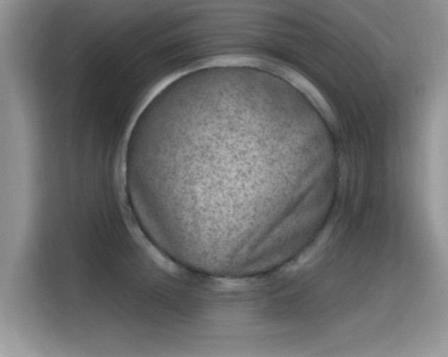 X0000115670852200911191024