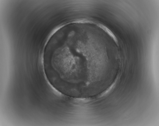 X0000115670855200911191024
