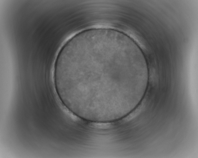 X0000115670856200911191024