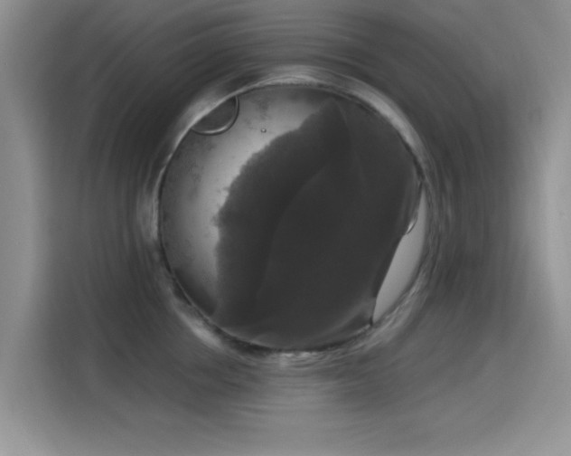 X0000115670858200911191024