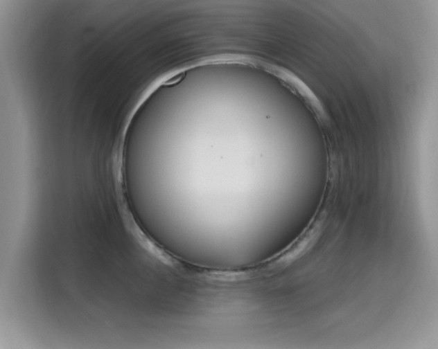 X0000115670860200911191024