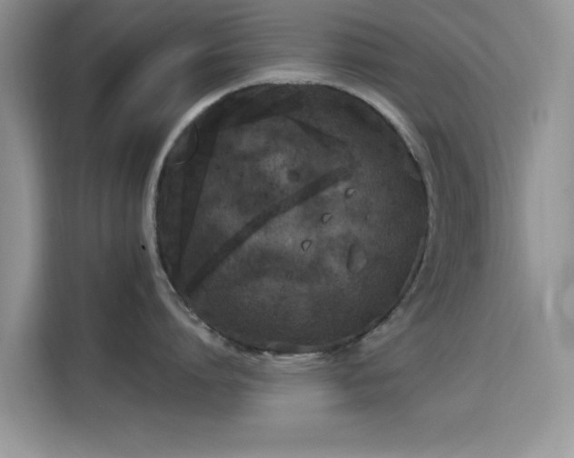 X0000115670864200911191024