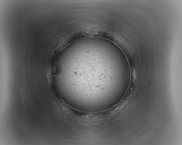 X0000115670867200911191023