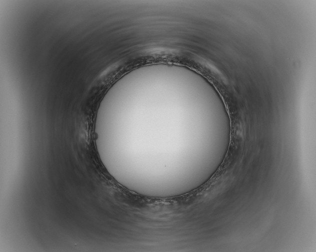 X0000115670869200911191023