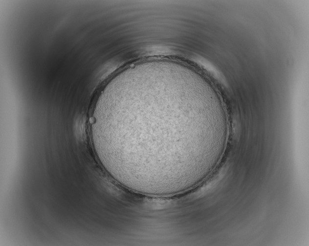X0000115670873200911191023