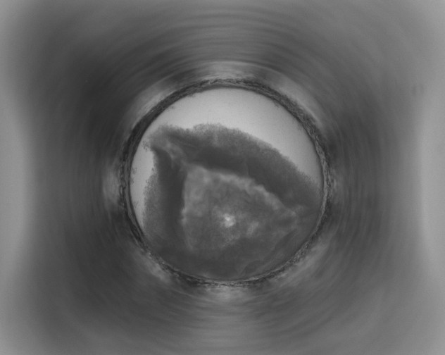 X0000115670874200911191023