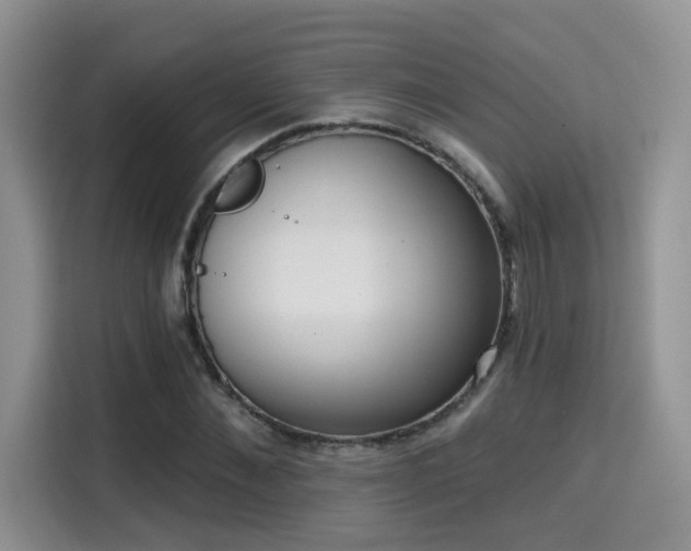 X0000115670876200911191023